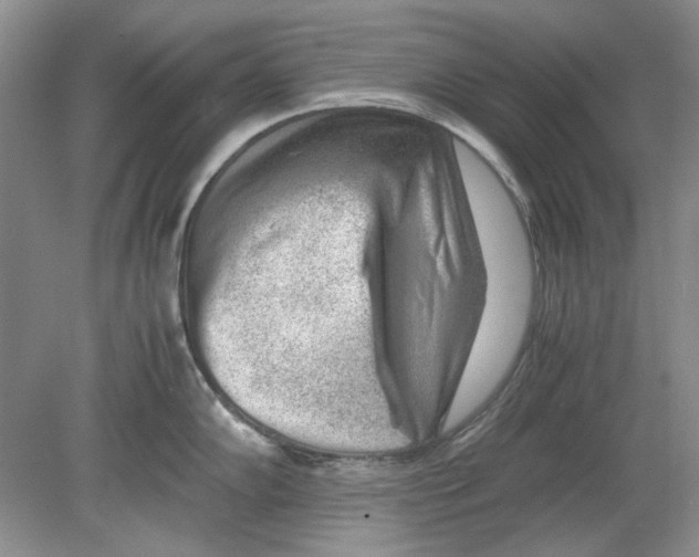 X0000078881102200612111733