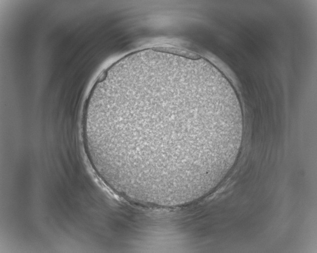 X0000078881104200612111733