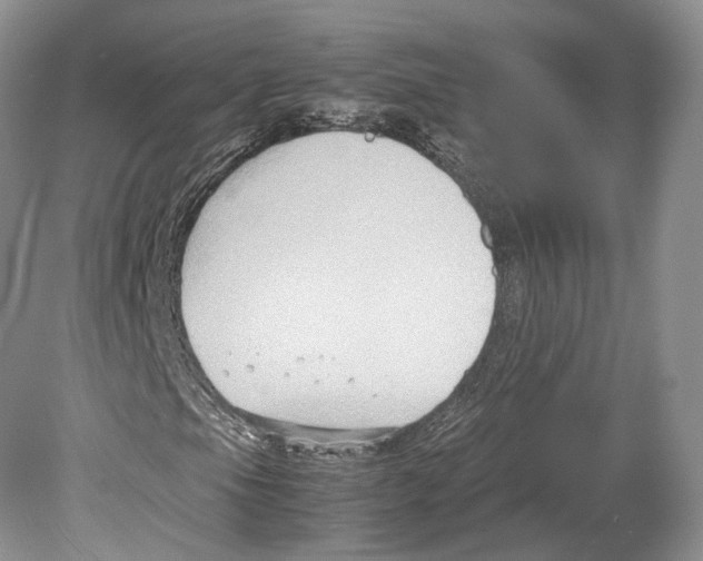 X0000078881105200612111732