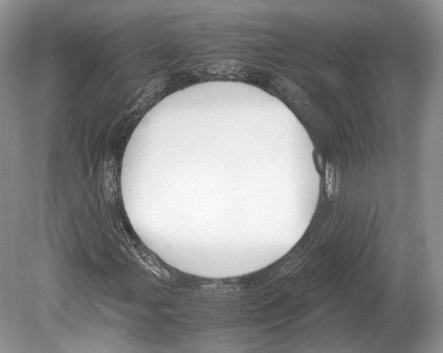 X0000078881107200612111732