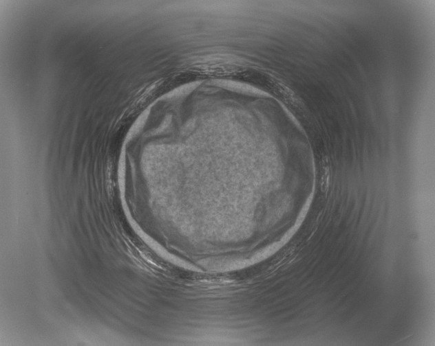 X0000078881108200612111732