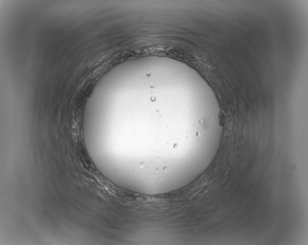 X0000078881109200612111732