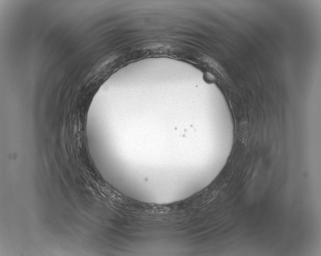 X0000078881111200612111732