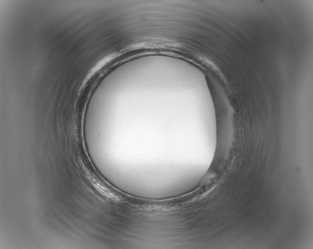 X0000078881114200612111732