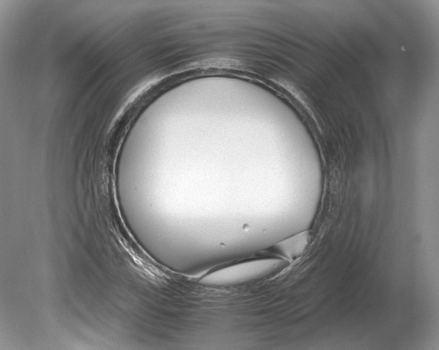 X0000078881115200612111732