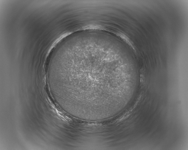 X0000078881117200612111732