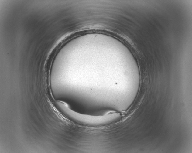 X0000078881118200612111732