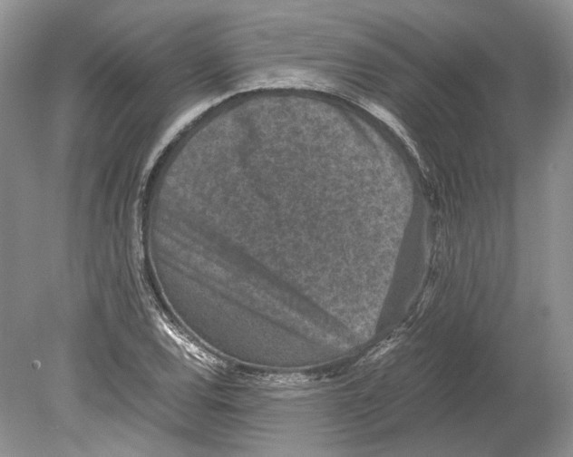 X0000078881120200612111732