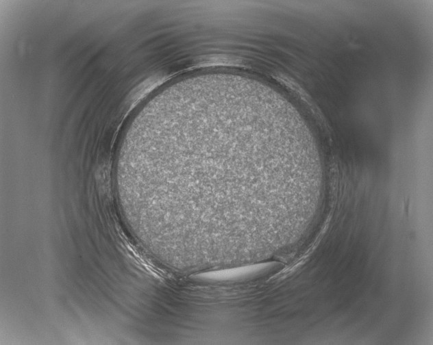 X0000078881121200612111732