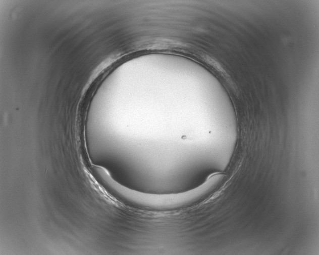 X0000078881122200612111732