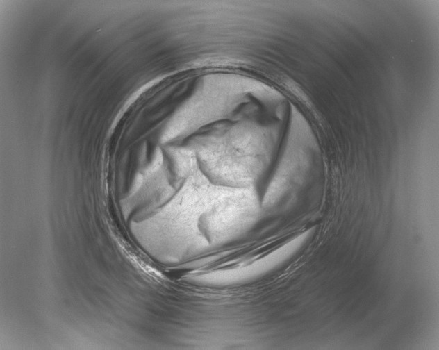 X0000078881124200612111732