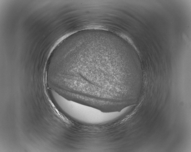 X0000078881125200612111732