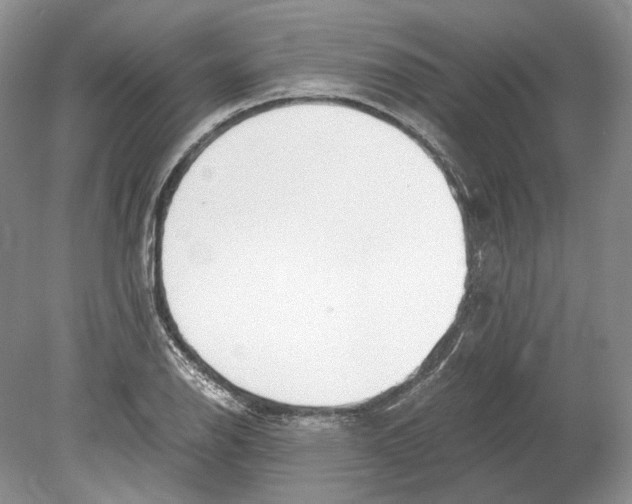 X0000078881126200612111732