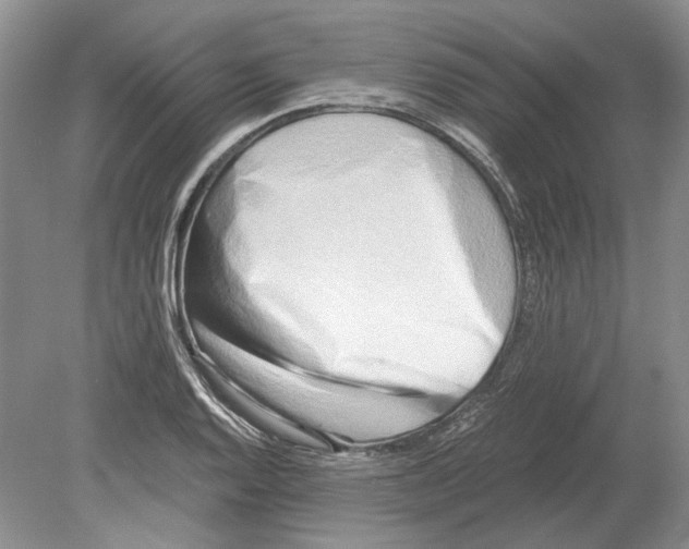 X0000078881128200612111732