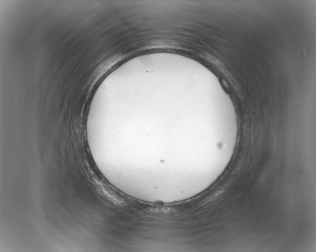 X0000078881129200612111732