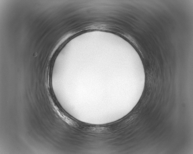 X0000078881131200612111732