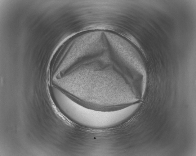 X0000078881132200612111732