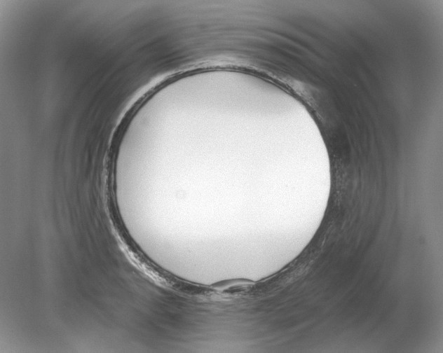 X0000078881134200612111732