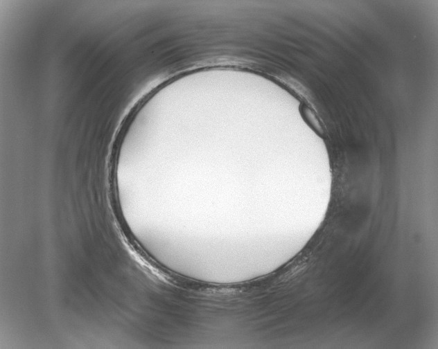 X0000078881135200612111732