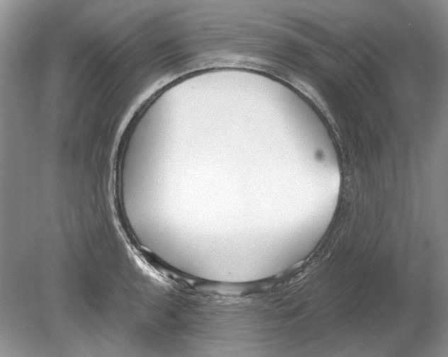 X0000078881136200612111732