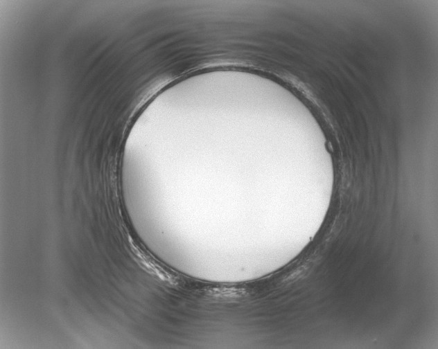 X0000078881137200612111732