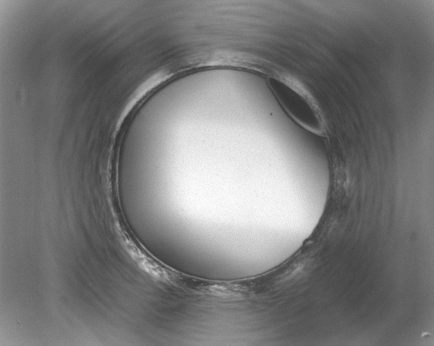 X0000078881138200612111733