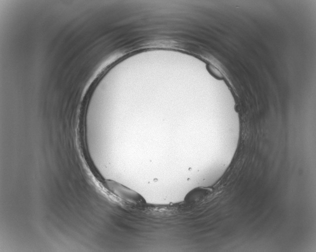 X0000078881139200612111733