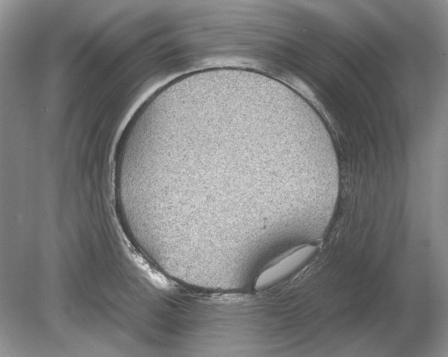 X0000078881140200612111733