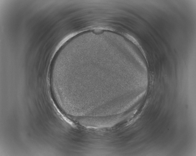 X0000078881141200612111733