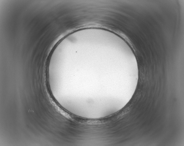 X0000078881142200612111733