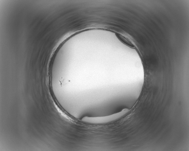 X0000078881143200612111733