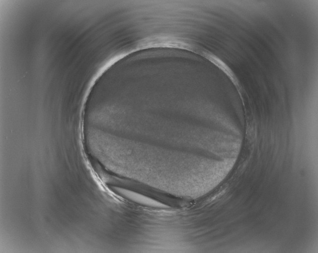 X0000078881144200612111733