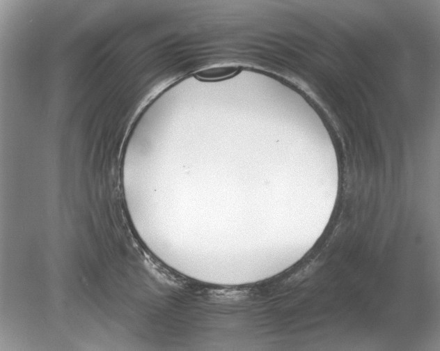 X0000078881145200612111733