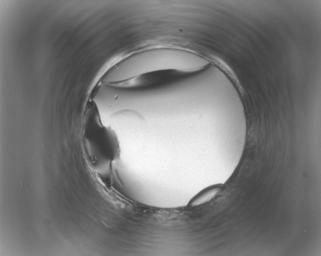 X0000078881146200612111733