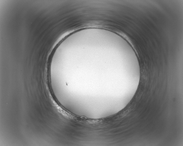 X0000078881147200612111733