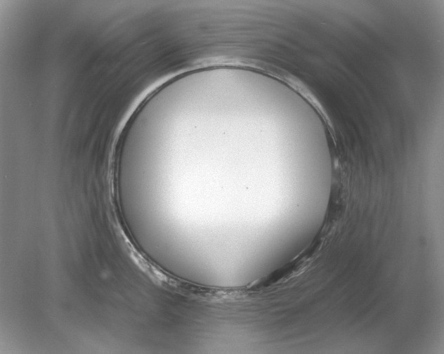 X0000078881148200612111733