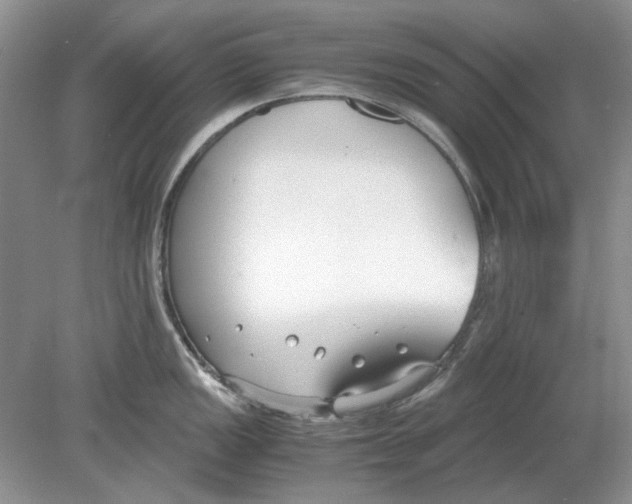 X0000078881149200612111733