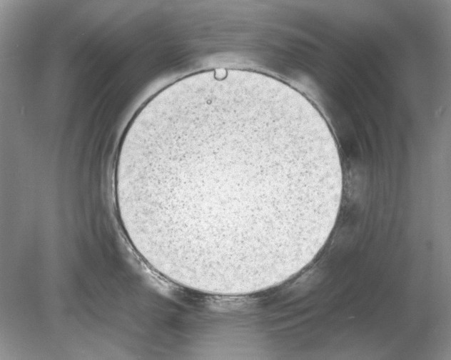 X0000078881150200612111733