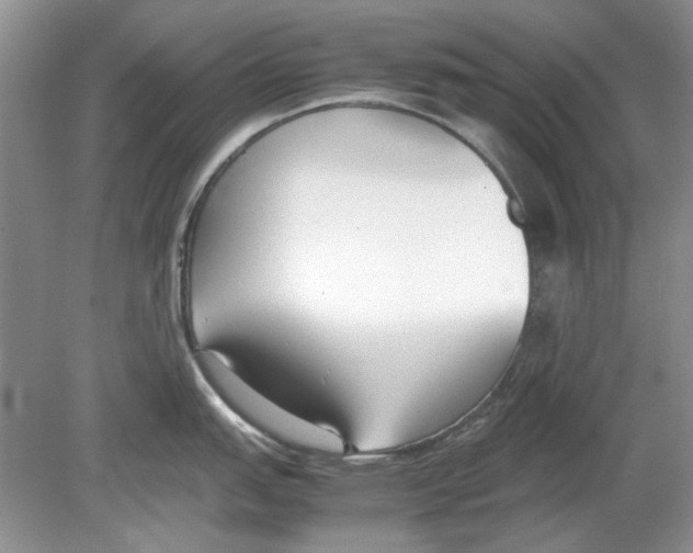 X0000078881151200612111733