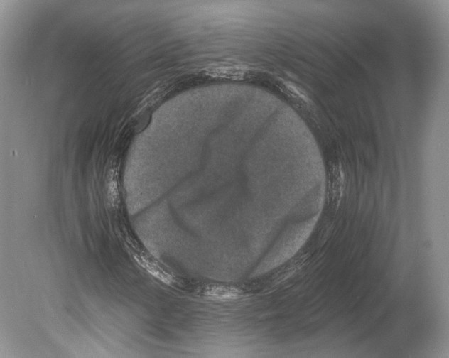 X0000078881154200612111732