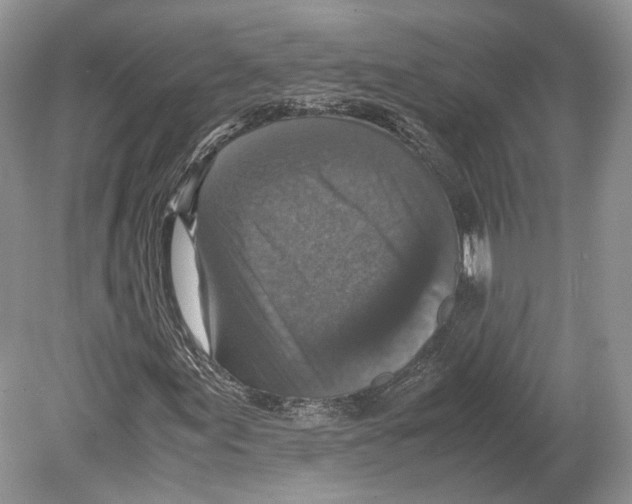 X0000078881155200612111732