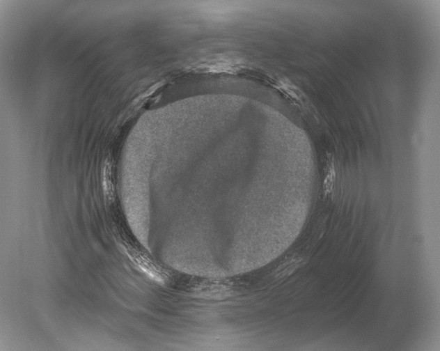 X0000078881156200612111732