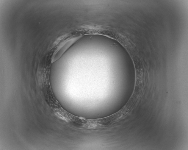 X0000078881157200612111732