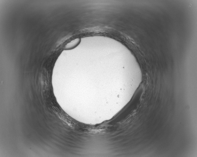 X0000078881158200612111732