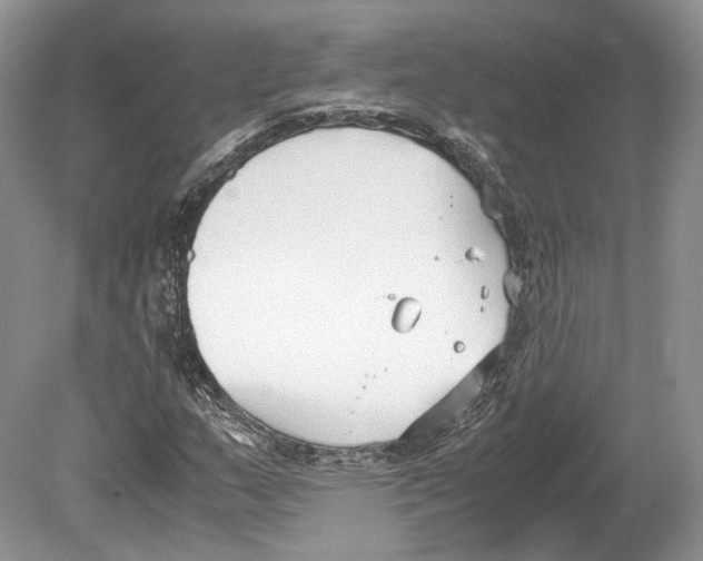 X0000078881159200612111732