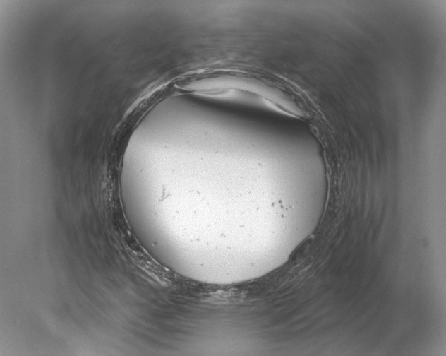 X0000078881160200612111732