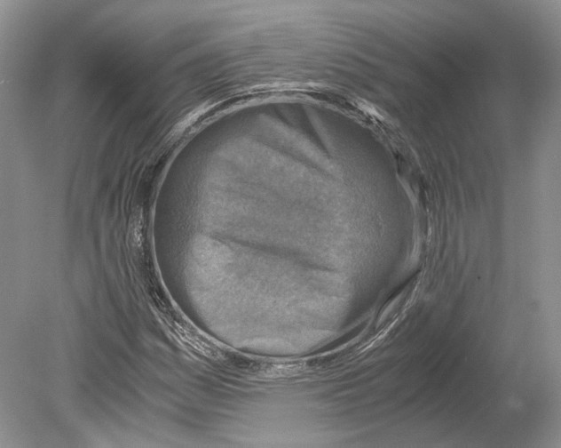 X0000078881161200612111732