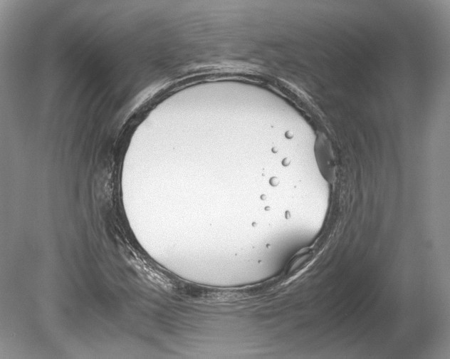 X0000078881163200612111732