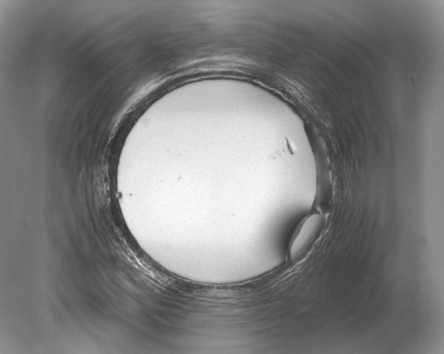 X0000078881164200612111732