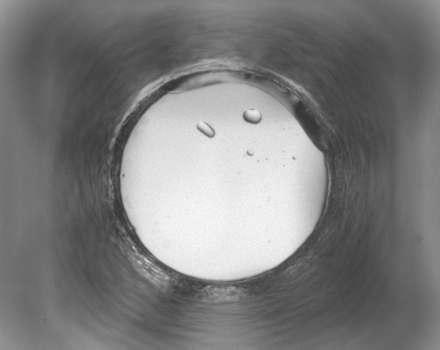 X0000078881168200612111732